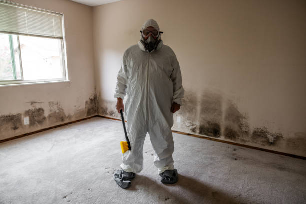 Best Mold Testing and Inspection Services in Malmstrom Af, MT